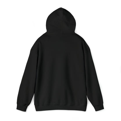 SWI Unisex Heavy Blend™ Hooded Sweatshirt